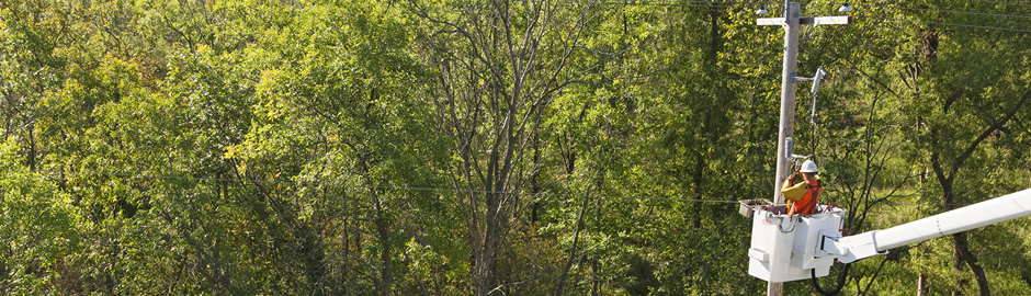 lineman working around trees
