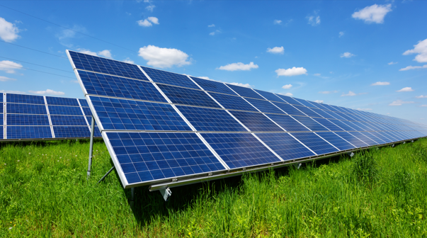 solar panels on green grass with blue sky